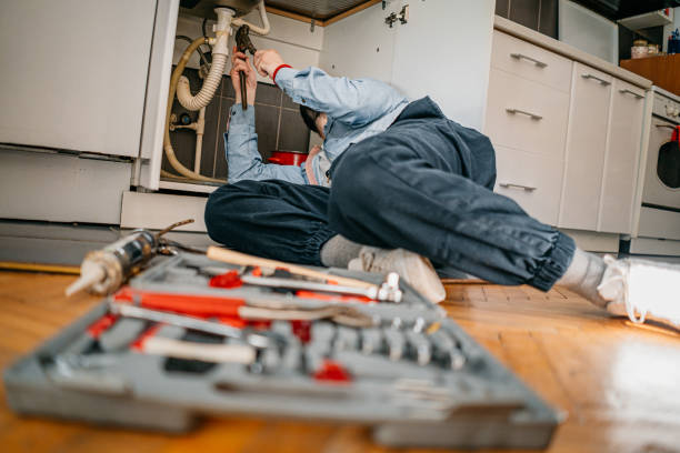  Forest Lake, MN Plumbing Pros
