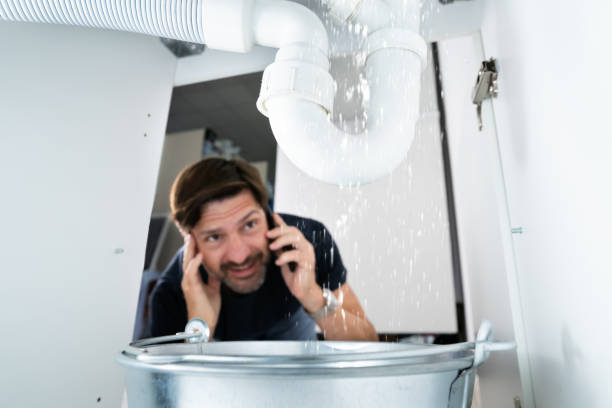 Best Septic Systems  in Forest Lake, MN