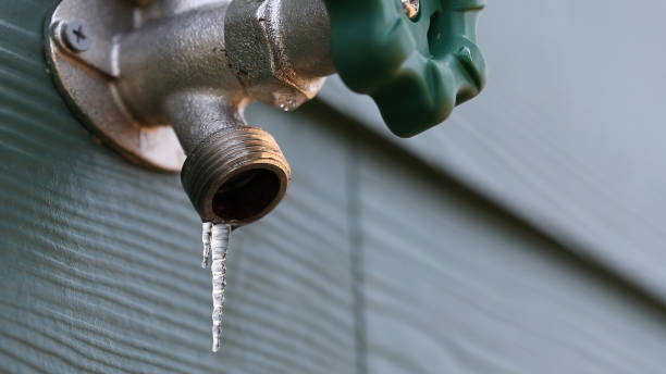 Best Hot Water Heater Installation  in Forest Lake, MN